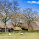 Discovering Meppel: Exploring Drenthe's Charming Village and Its Hidden Delights