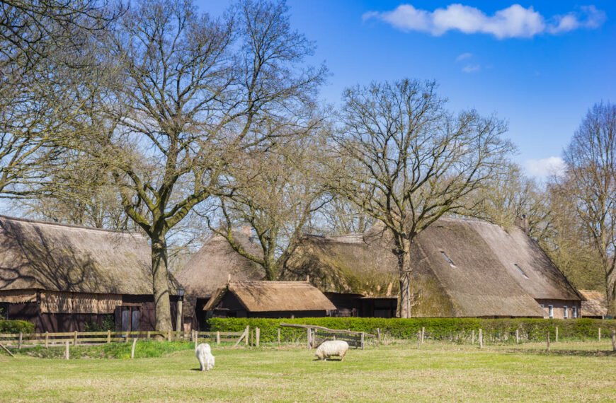 Discovering Meppel: Exploring Drenthe's Charming Village and Its Hidden Delights