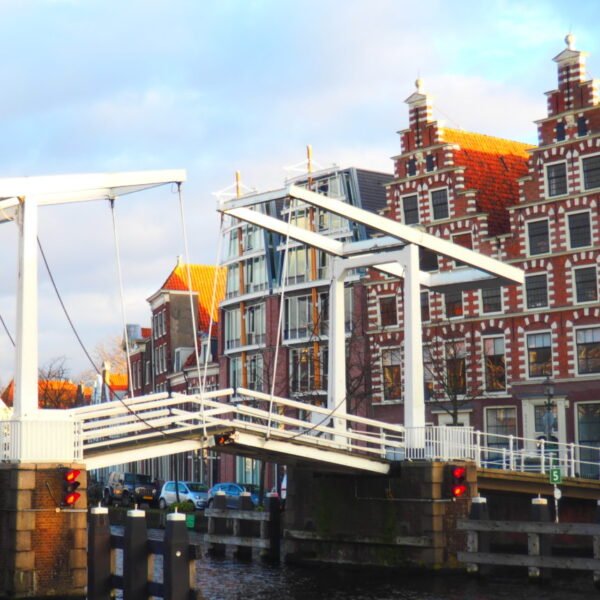 Discovering the Charms of Haarlem: A Journey through North Holland's Enchanting City