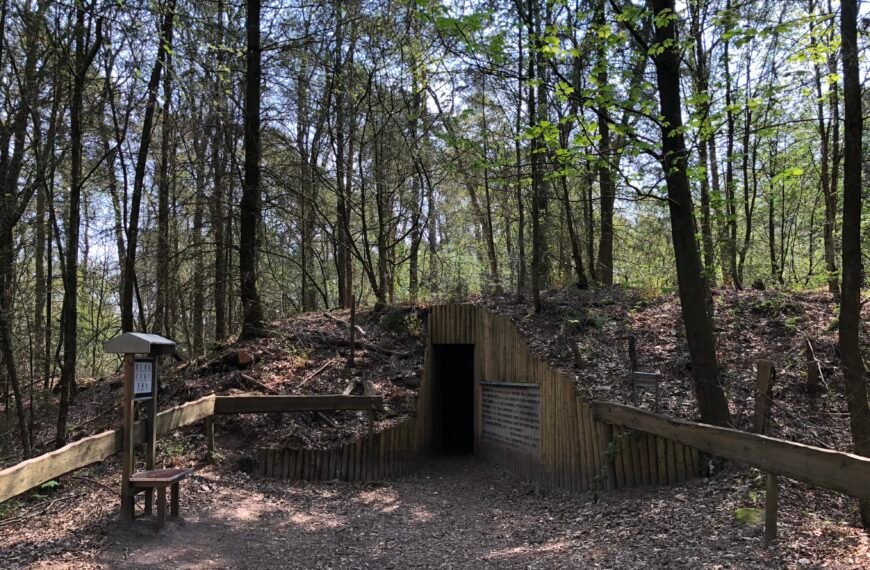 Discovering the Hidden Charms of Eelde: A Captivating Adventure in Drenthe