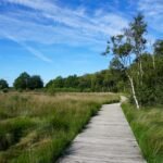 Discovering Zuidlaren: Exploring Nature and History along the Pieterpad in Drenthe