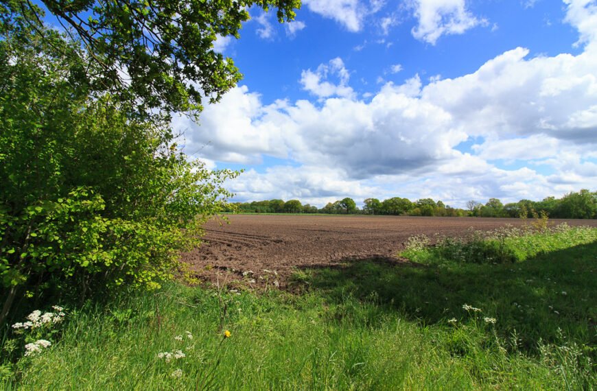 Exploring Rolde in Drenthe: Uncovering History, Nature, and Delights